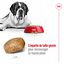 Royal Canin - Croquettes Giant Adult pour Chien - 15Kg Indicateur image numéro 5