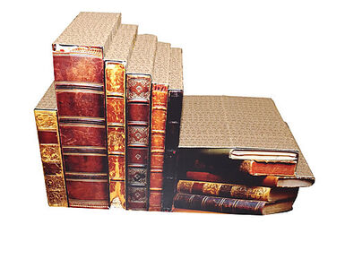 Cat Design - Griffoir Bibliothèque Carton pour Chat 