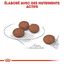 Royal Canin - Croquettes Mini Digestive Care pour Chien - 3Kg Indicateur image numéro 6