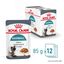 Royal Canin - Sachets Hairball Care en Sauce pour Chat - 12x85g Indicateur image numéro 13