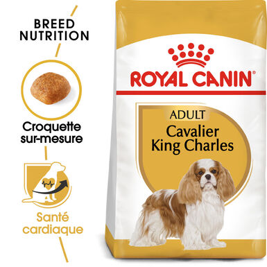 Royal Canin - Croquettes Cavalier King Charles Adult - 1,5Kg