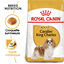 Royal Canin - Croquettes Cavalier King Charles Adult - 1,5Kg Indicateur image numéro 1