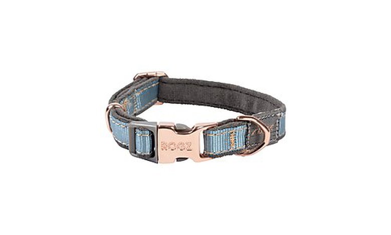 Rogz - Collier Urban Turquoise pour Chiens - XS image number null