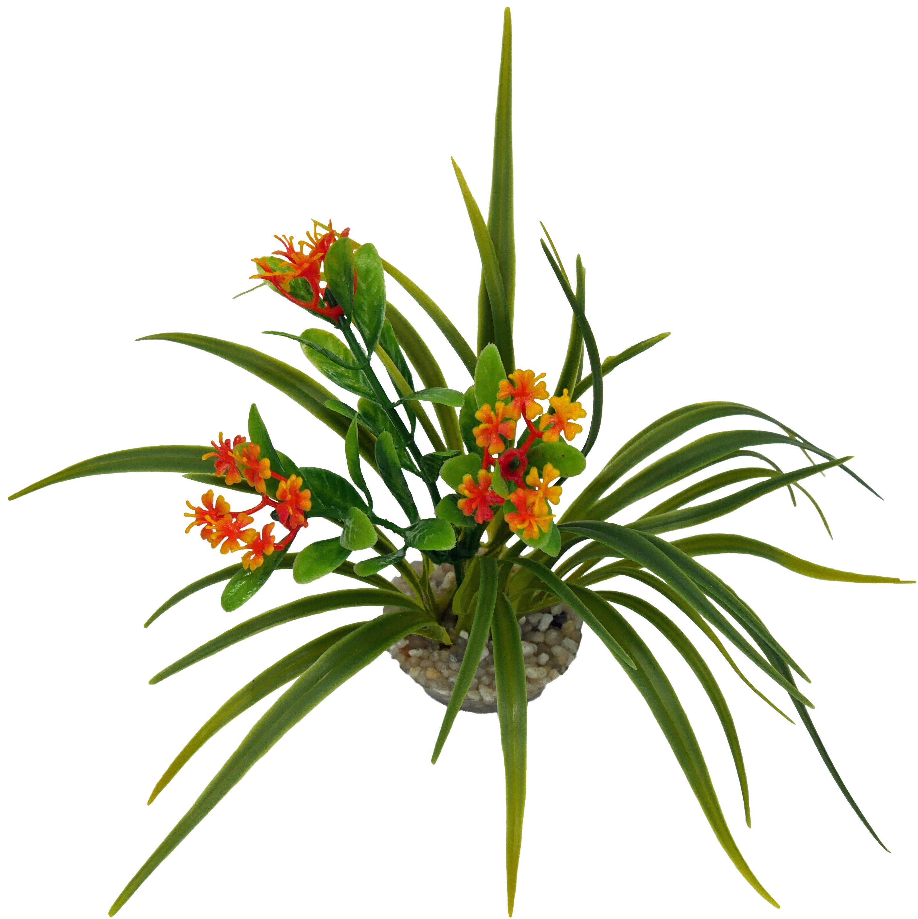 Labeo - D&eacute;coration Corolle Fleurie pour Terrarium Image num&eacute;ro 2