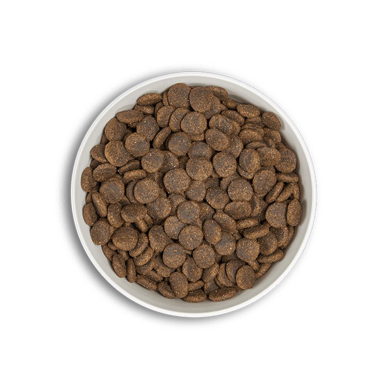 Era - Croquettes Millennium Canard et Agneau pour Chiens de Moyennes et Grandes Races - 500g Image numéro 2 Era - Croquettes Millennium Canard et Agneau pour Chiens de Moyennes et Grandes Races - 500g Image numéro 2