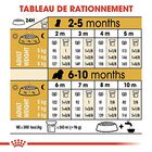 Royal Canin - Croquettes Cavalier King Charles Junior pour Chiot - 1,5Kg image number null