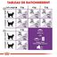 Royal Canin - Croquettes Sensible 33 pour Chat Adulte - 10Kg Indicateur image numéro 5