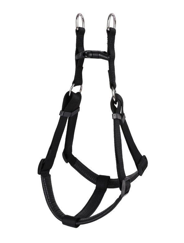 Animalis - Harnais Basic Confort Noir pour Chien - T1 15mm et 45/57cm Image numéro 2 Animalis - Harnais Basic Confort Noir pour Chien - T1 15mm et 45/57cm Image numéro 2