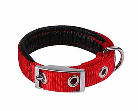 Animalis - Collier Basic Confort pour Chien Rouge