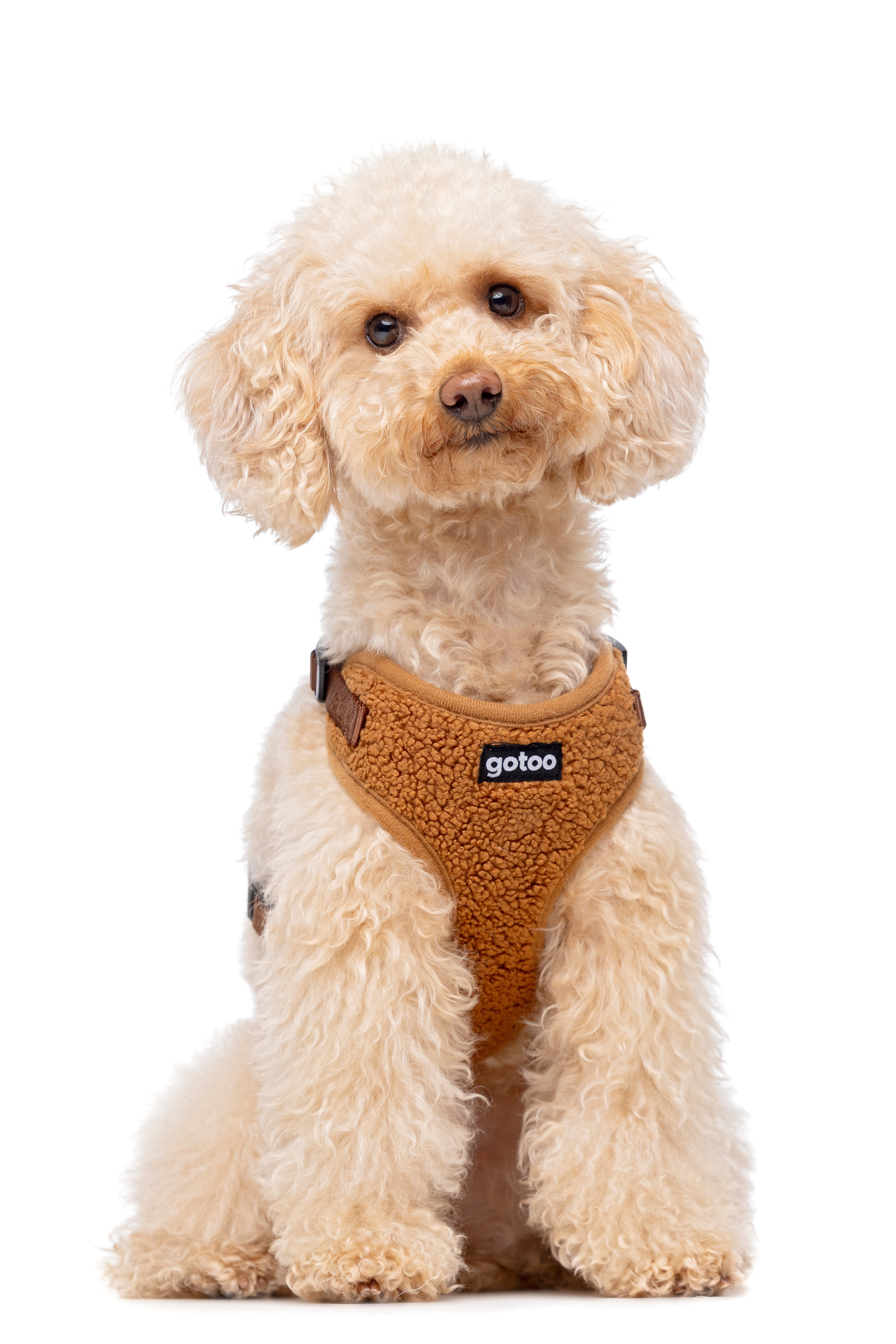 Gotoo - Harnais Ourson Brun pour Chien  - M Image num&eacute;ro 3