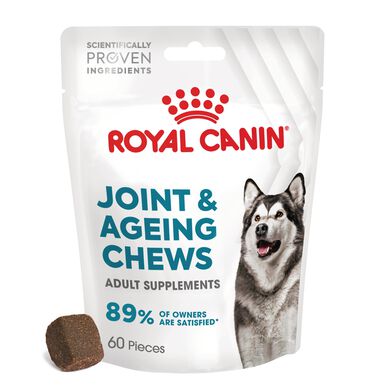 Royal Canin - Aliment complémentaire Adult Joint & Agieing Chews pour Chiens - 240g