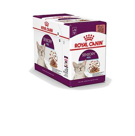 Royal Canin - Pâtée Sensory Feel en Sauce pour Chat - 12x85g
