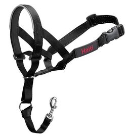 Company of Animals - Licol Halti pour Chien