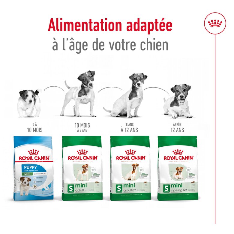 Royal Canin - Croquettes Mini Adult - 4Kg image number null