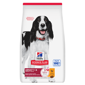 Hill's Science Plan - Croquettes Adult Medium au Poulet pour Chiens
