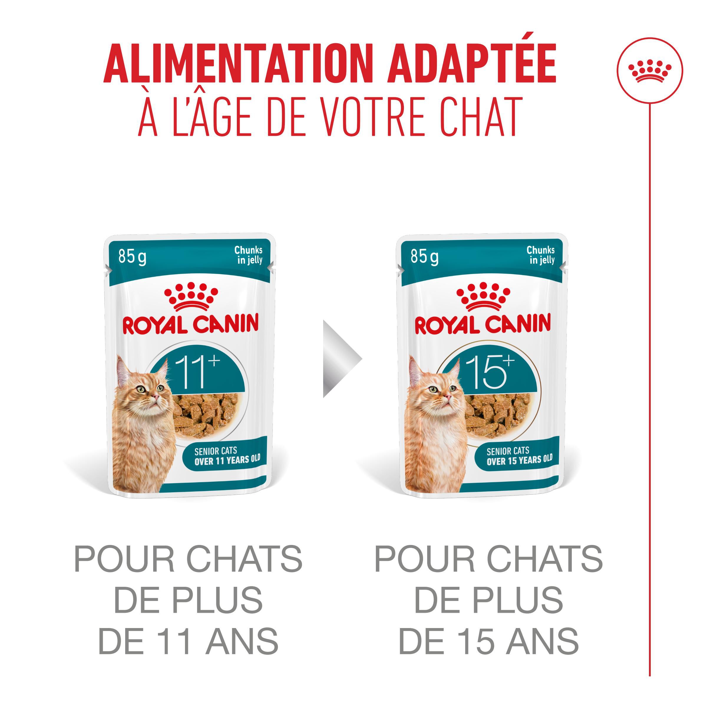 Royal Canin - P&acirc;t&eacute;e en Gel&eacute;e Ageing 11+ pour Chats Senior - 12x85g Image num&eacute;ro 5