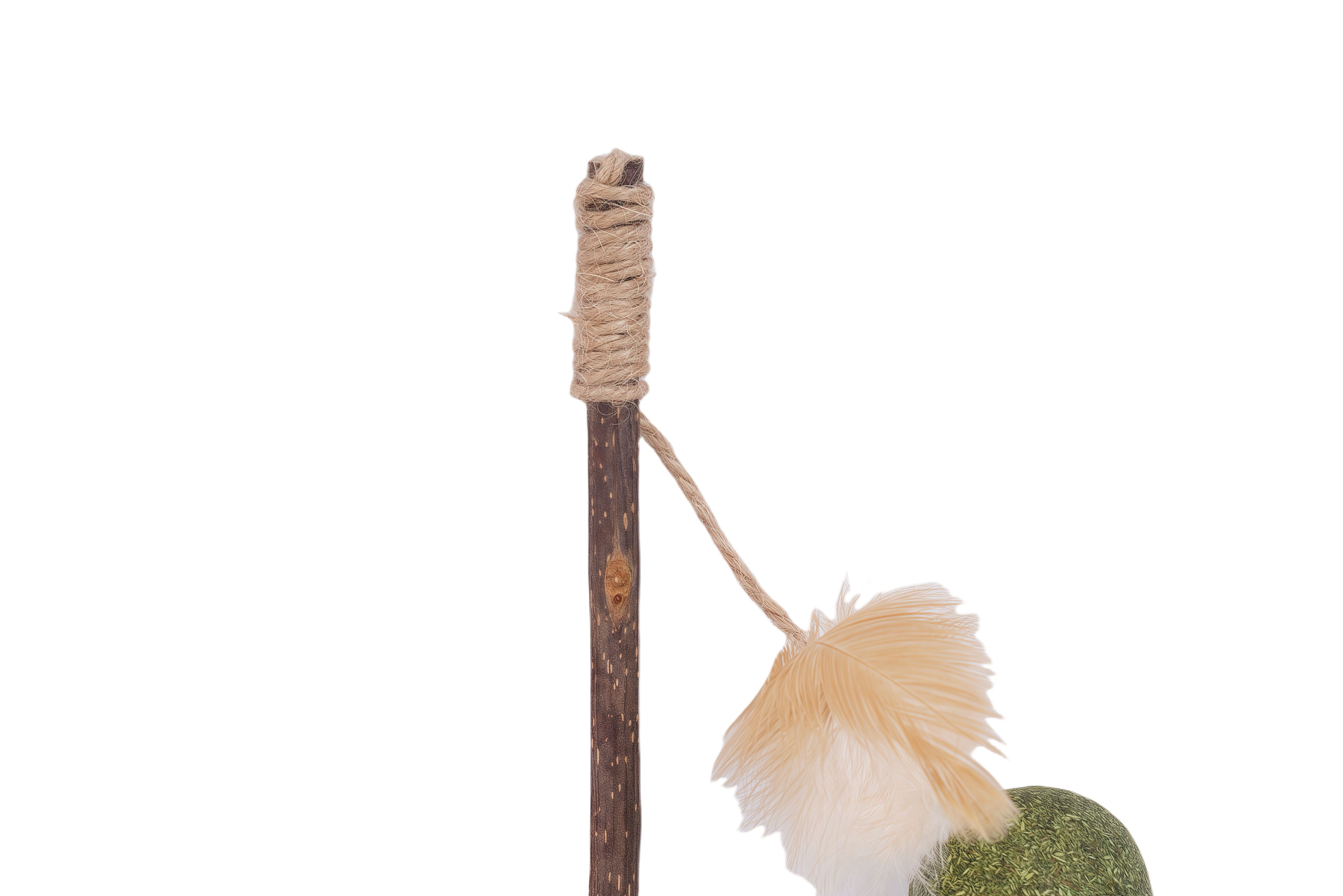 Tootoy! - Canne &agrave; P&ecirc;che avec Balle et Herbe &agrave; Chat - 25cm Image num&eacute;ro 3