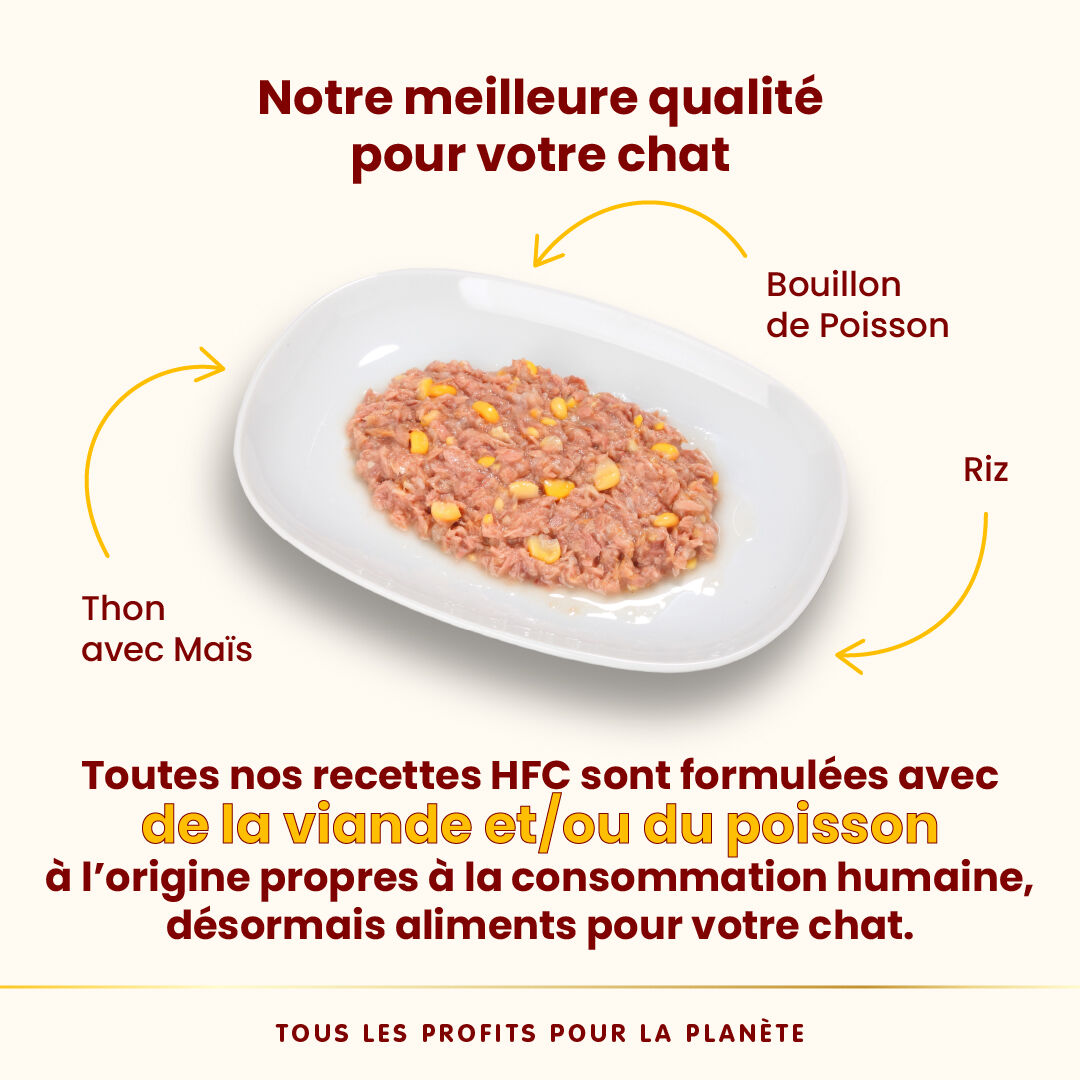 Almo Nature - P&acirc;t&eacute;e en Bo&icirc;te HFC Natural Thon et Ma&iuml;s pour Chat - 70g Image num&eacute;ro 3