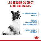 Royal Canin - Croquettes Puppy X-Small pour Chiots - 3Kg image number null