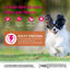 Wellness CORE - Croquettes Original Dinde et Poulet pour Chien Petite Race - 1,5Kg Indicateur image numéro 2