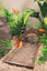 Superfish - Décoration Rivière Immergée (sans la pompe à air) taille 17 cm Indicateur image numéro 3