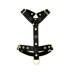 Pop Dog - Harnais à œillets Badass Noir pour Chiens - S