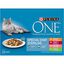Purina One - Multipack Effilés en Sauce 4 Variétés pour Chat Stérilisé - 8x85g Indicateur image numéro 1