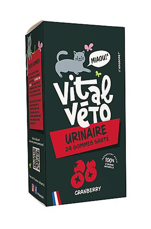 Vitalvéto - Gommes Santé Urinaire pour Chat - 24g image number null