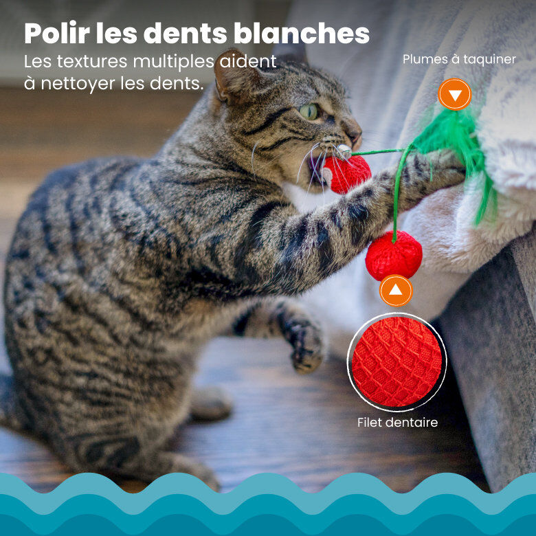 Outward Hound - Jouet &agrave; M&acirc;cher Dental Cherries pour Chats Image num&eacute;ro 4