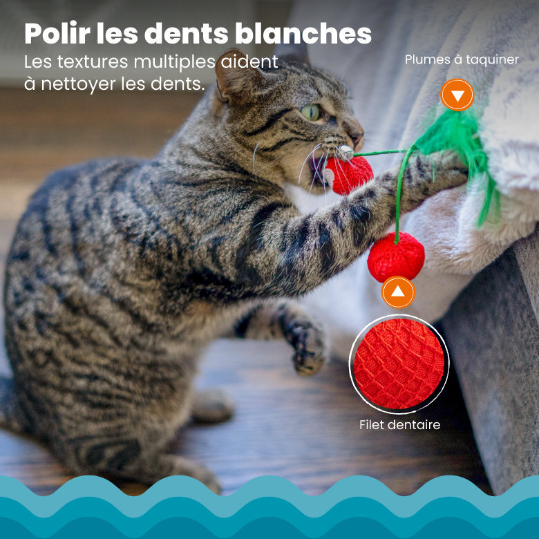 Outward Hound - Jouet à Mâcher Dental Cherries pour Chats Image numéro 4 Outward Hound - Jouet à Mâcher Dental Cherries pour Chats Image numéro 4