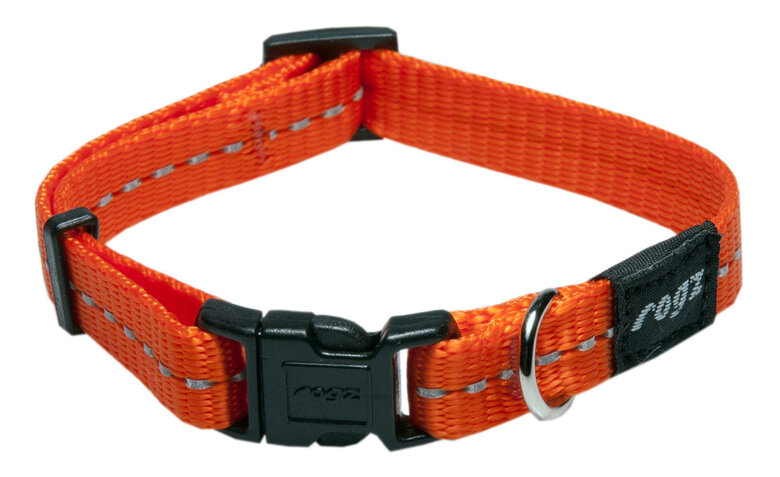 Rogz - Utility Collier Réfléchissant Orange - 8mm Image numéro 1 Rogz - Utility Collier Réfléchissant Orange - 8mm Image numéro 1