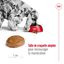 Royal Canin - Croquettes MEDIUM ADULT 7 POUR CHIEN DE +7 ANS - 10KG Indicateur image numéro 5
