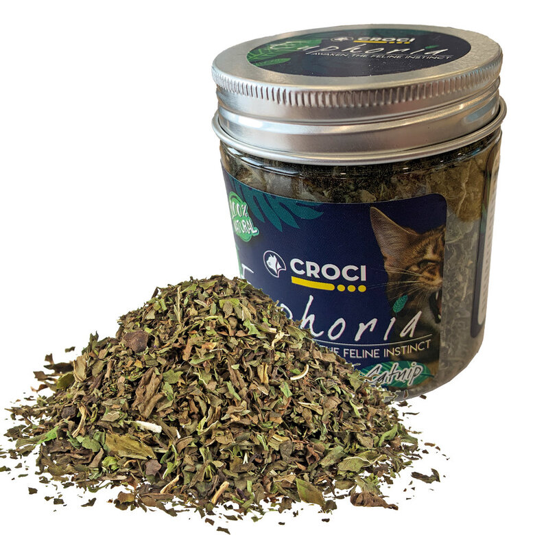 Croci - Bocal Catnip Euphoria pour Chats - 25g Image numéro 1 Croci - Bocal Catnip Euphoria pour Chats - 25g Image numéro 1