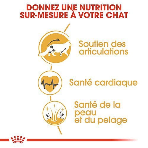 Royal Canin - Croquettes Maine Coon pour Chat Adulte - 2Kg Image num&eacute;ro 5