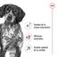 Royal Canin - Croquettes MEDIUM ADULT 7 POUR CHIEN DE +7 ANS - 10KG Indicateur image numéro 3