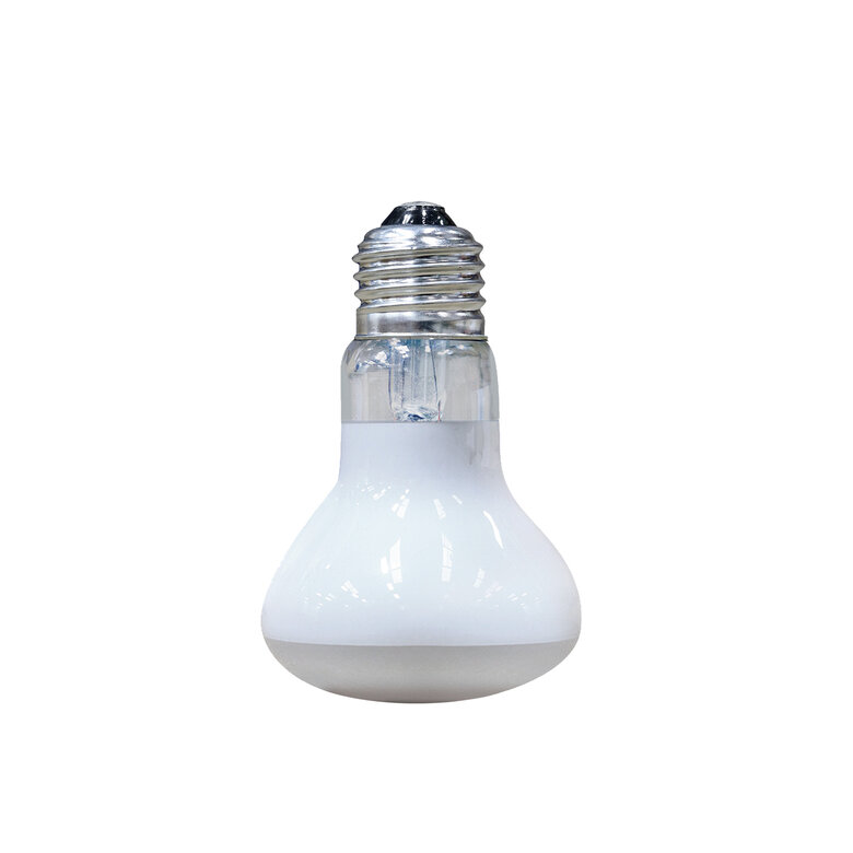 Arcadia - Spots Solar Basking Floodlight 50 Watt - Réptiles Image numéro 1 Arcadia - Spots Solar Basking Floodlight 50 Watt - Réptiles Image numéro 1