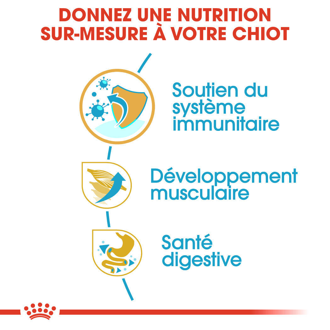 Royal Canin - Croquettes Boxer Junior pour Chiens - 3Kg Image num&eacute;ro 3