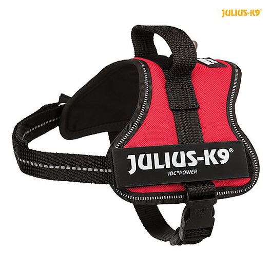 Julius-K9 - Harnais Power Rouge XL pour Chien - 82-115cm