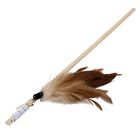 Wouapy -  Jouet Canne à Pêche Plumeau pour Chat - 40cm image number null