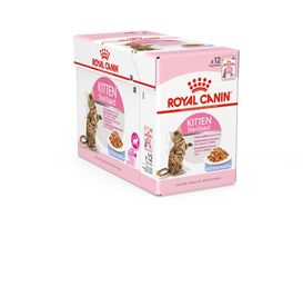 Royal Canin - Sachets Kitten Sterilised en Gelée pour Chaton - 12x85g