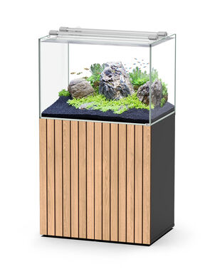 Aquatlantis - Ensemble Aquarium + Meuble Aquascape 80 - Led Noir avec Porte STRIÉ