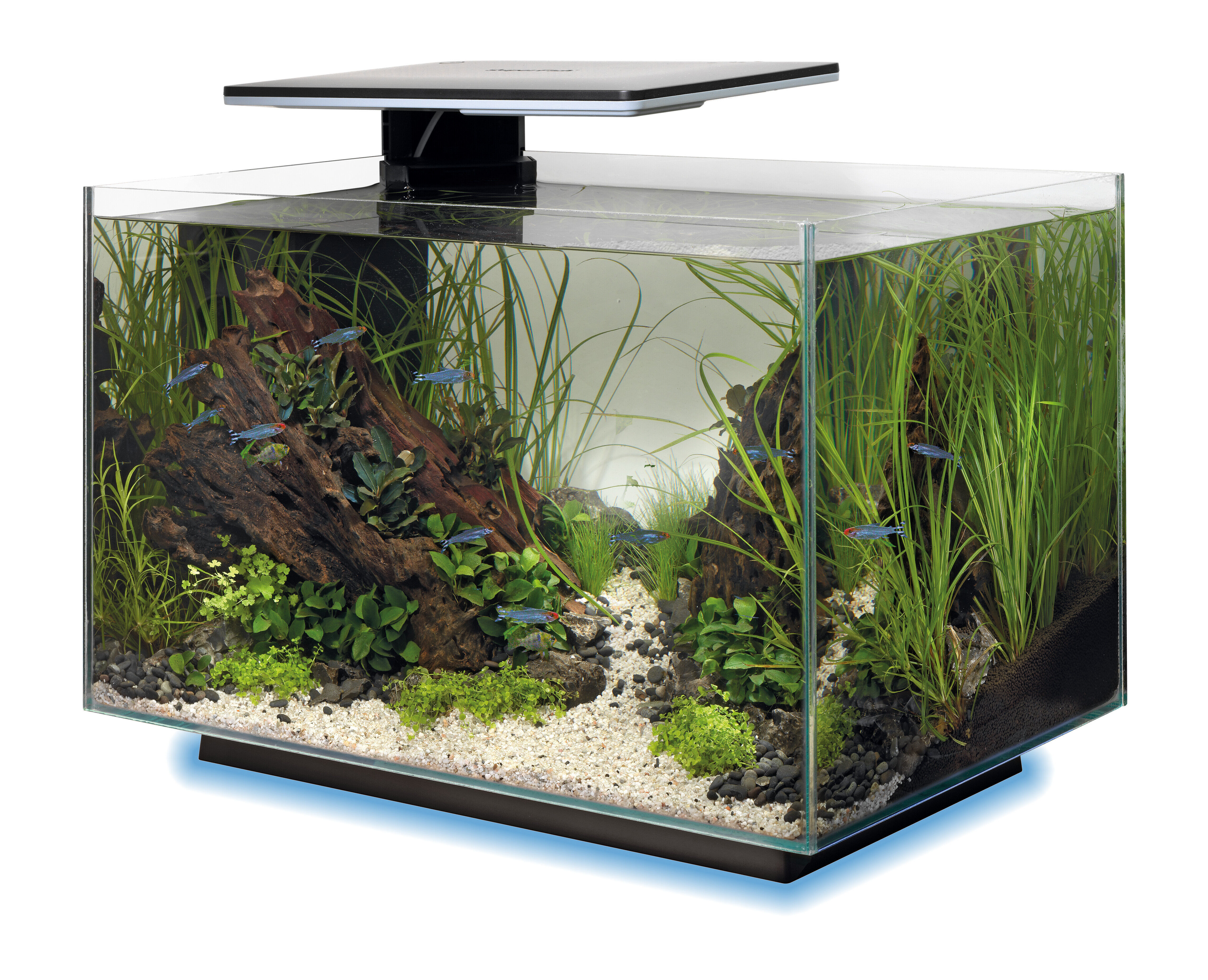 Superfish - Aquarium Quadro 40 Multi Colour - Noir Image num&eacute;ro 5