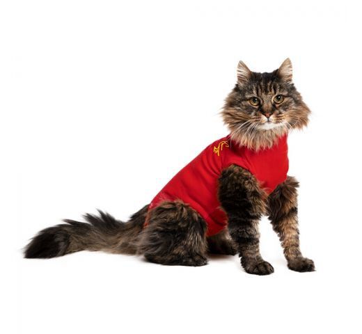 Medical Pet Shirt Gilet de Protection Plaies pour Chats XXS Animalis