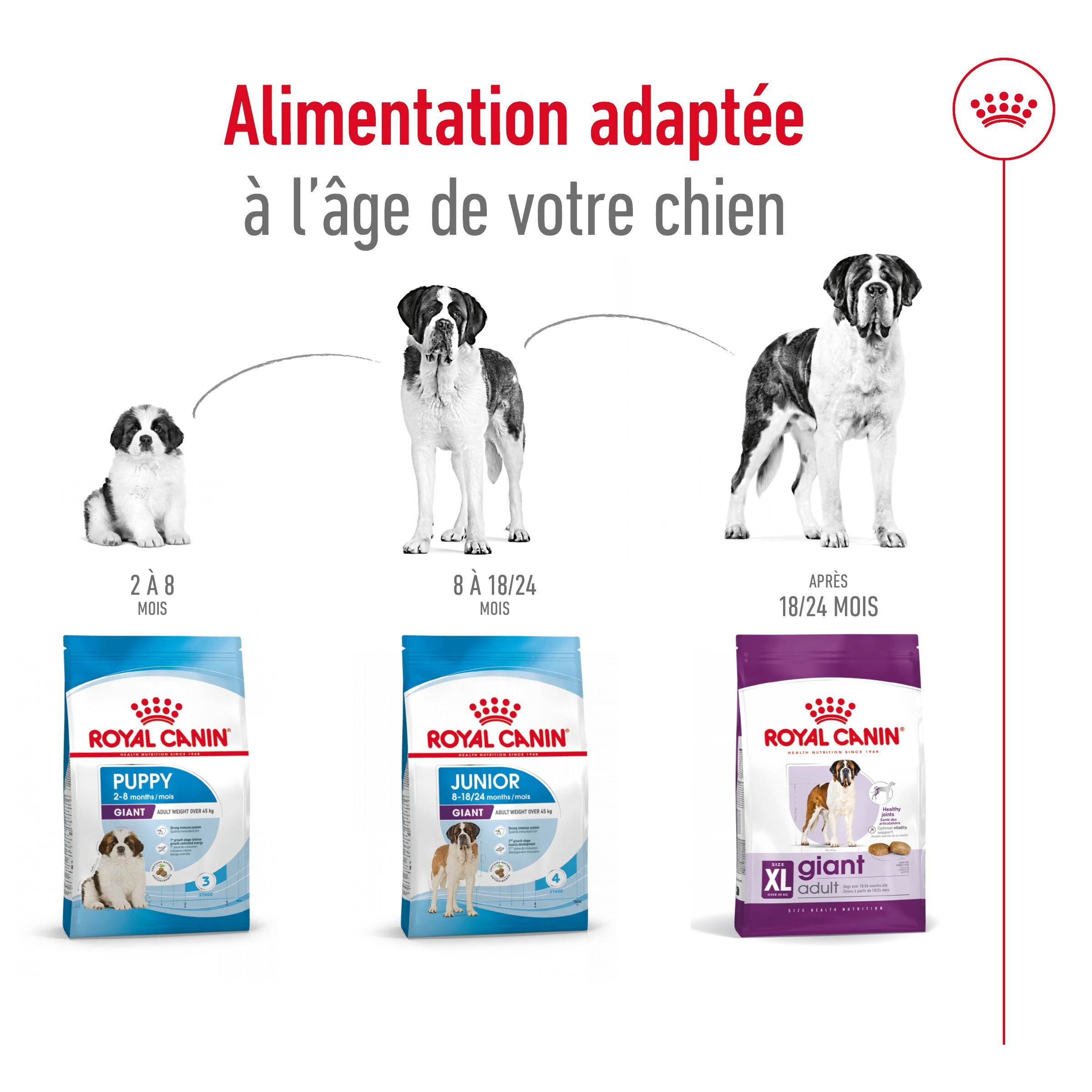 Royal Canin - Croquettes Giant Adult &agrave; Partir de 18/24 mois pour Chien - 15Kg Image num&eacute;ro 6