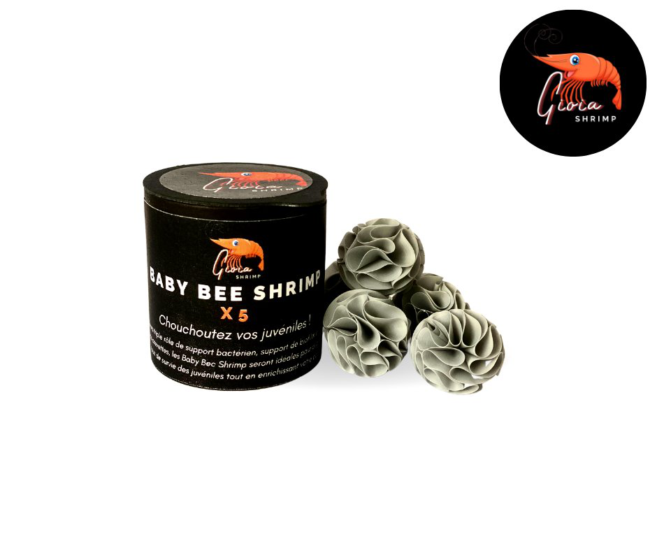 Gioiashrimp - Cachette Babybee Shrimp pour Crevette Image num&eacute;ro 1