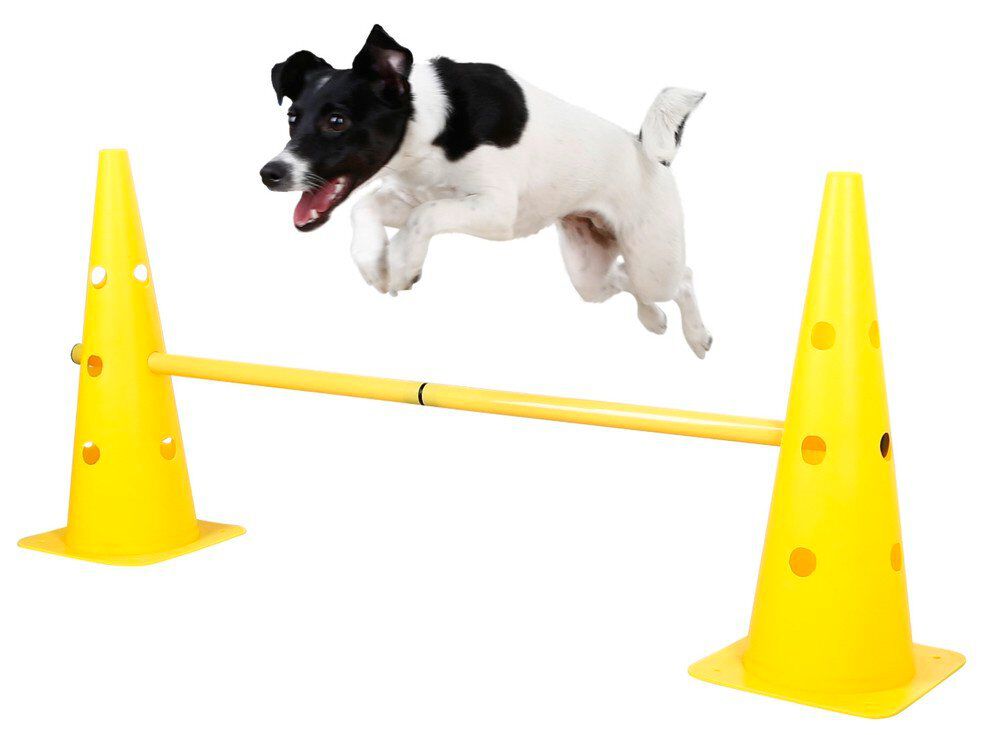 Kerbl - Parcours d'Obstacle Agility pour Chiens Image num&eacute;ro 2