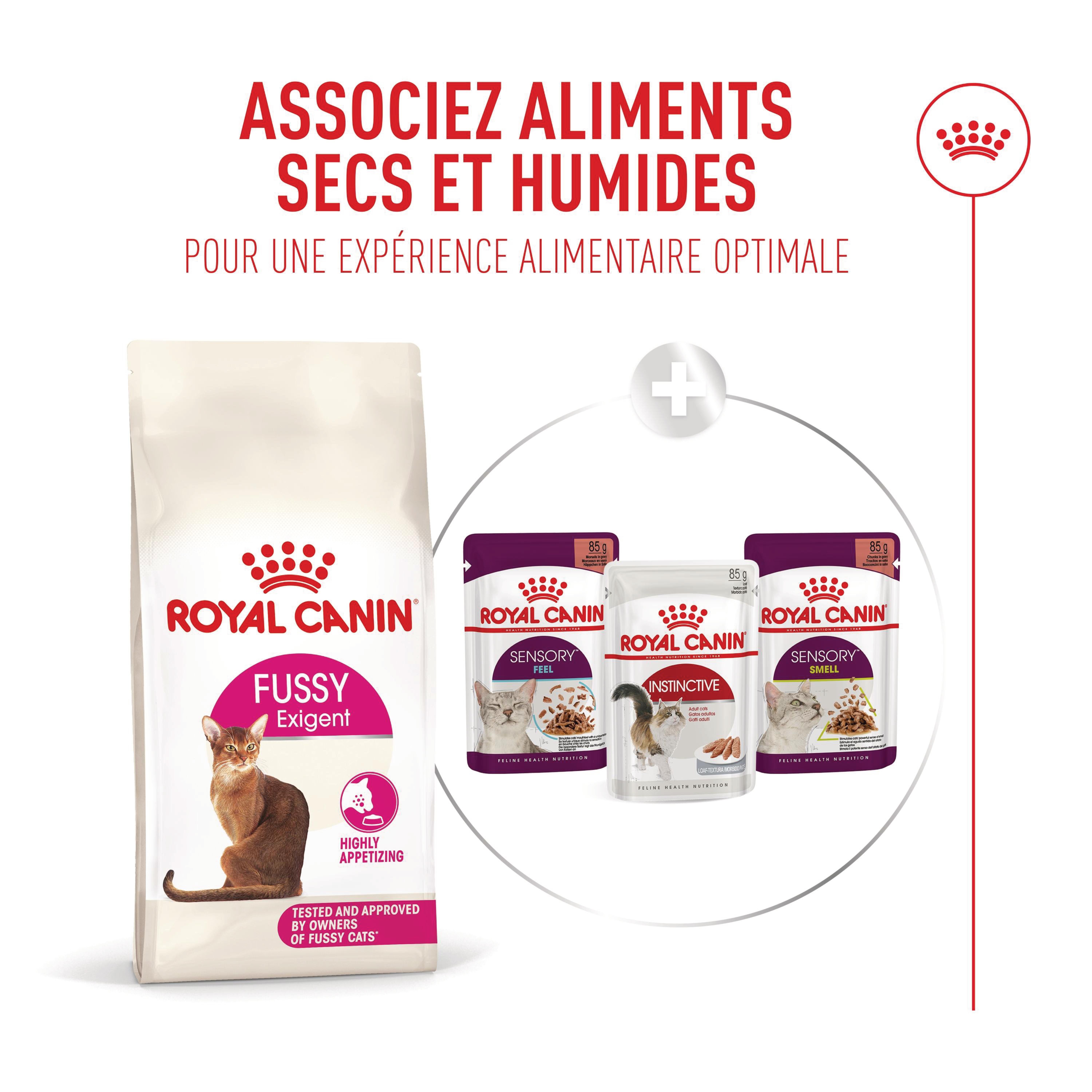 Royal Canin - Croquettes Fussy Exigent pour Chats Difficiles - 4Kg Image num&eacute;ro 7