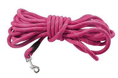 Bobby - Longe Walk Fuchsia pour Chiens