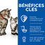 Hill's Science Plan - Kitten & Mother - Mousse Chaton Et Chatte Allaitante Poulet Dinde  -  85g Indicateur image numéro 3