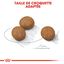 Royal Canin - Croquettes Maxi Puppy pour Chiot - 10Kg Indicateur image numéro 6